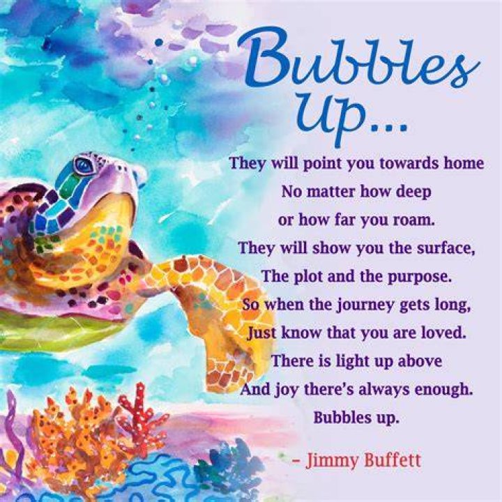Bubbles up jimmy buffet lyrics