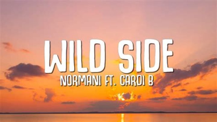 Cardi b wild side lyrics lyrics