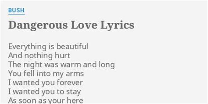 Dangerous love lyrics