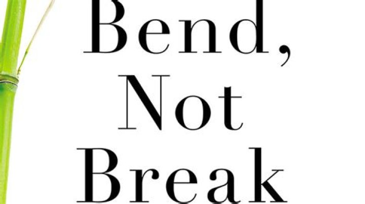 I will not bend i will not break lyrics