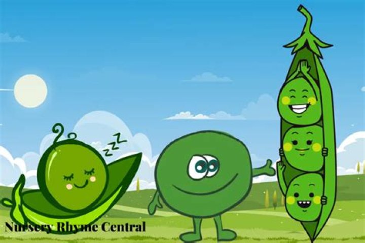 Peas in a pod lyrics