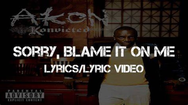 Sorry blame it on lyrics