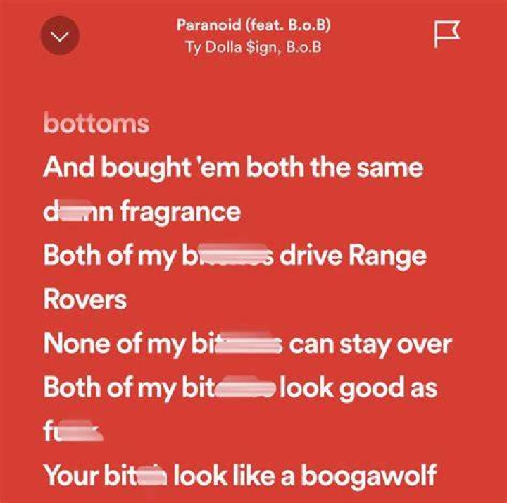 What is a boogawolf lyrics