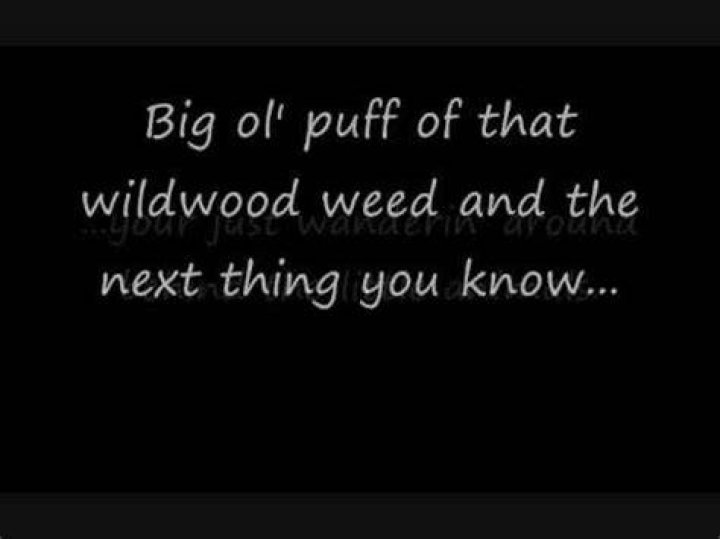 Wildwood weed lyrics